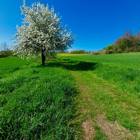 Unterm Stein - Rotkaeppchen - 3 Schlafzimmer