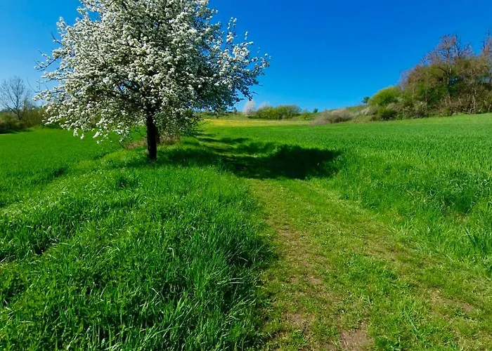 Unterm Stein - Rotkaeppchen - 3 Schlafzimmer